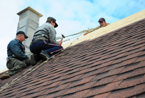 Best Gutter Installation and Roofing  in Timberville, VA