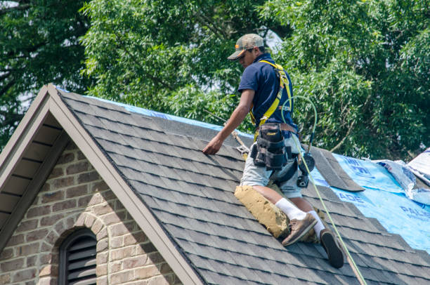 Best Roof Gutter Cleaning  in Timberville, VA